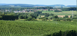 hopfen hohenester kirchdorf - produktion von pellets und extrakt